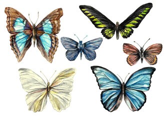 Fototapeta na wymiar Watercolor set of bright butterflies with different wings. Morpho butterflies. Isolated on a white background