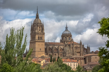 Fototapeta na wymiar Majestic view at the gothic building at the Salamanca cathedral, towers and domes, surrounding vegetation