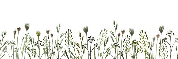 Watercolor seamless border with wild field herbs, wild grasses on a white background. Botanical illustration for fabrics, posters, aromatherapy, clothing