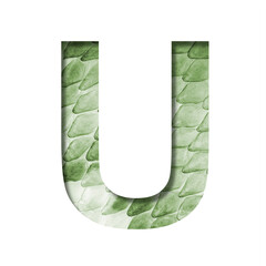 Snake scales font. The letter U cut out of paper on the background of a green snake skin with large...