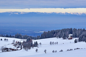 Fototapeta na wymiar Schwarzwald, Rheintal, im Hintergrund Vogesen