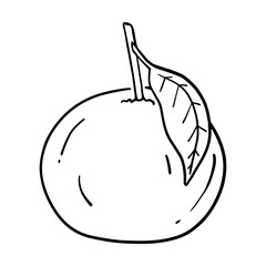 hand drawn sketch orange in doodle style