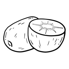 hand drawn sketch kiwi in doodle style