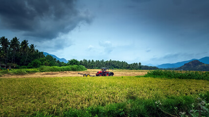 Modern tractor with former harvesting rice plant with nature mountain background. Nagercoil,...
