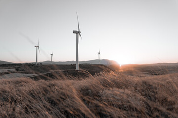 Beautiful watch of a wind farm during sunset