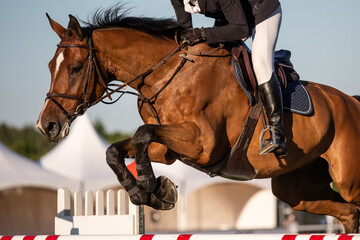 Horse Jumping, Equestrian Sports, Show Jumping event themed photograph