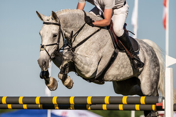Horse Jumping, Equestrian Sports, Show Jumping event themed photograph