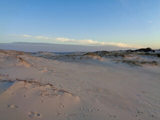 sand dunes on the beach of the City of Jose Ignacio, Uruguay