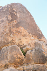 Gigantic rock at  Joshua tree national park