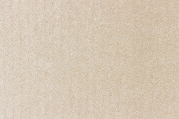 Fototapeta na wymiar The surface of a flat cardboard sheet. Uniform light brown texture.