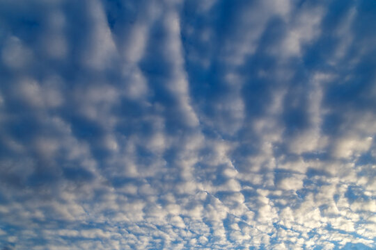 white evening altocumulus clouds on blue sky full frame background