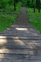 Fototapeta na wymiar wooden path in the park