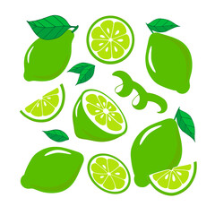 Lime set, slice, half, whole, and leaves. Colorful abstract citrus collection. Vector isolated on a white background. 