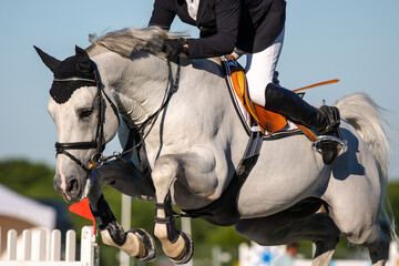 Horse Jumping, Equestrian Sports, Show Jumping event themed photograph