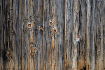 Naklejka premium astbrett