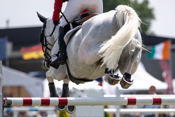 Horse Jumping, Equestrian Sports, Show Jumping themed photo.