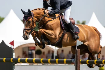 Photo sur Plexiglas Best-sellers Sport Saut à cheval, sports équestres, photo sur le thème du saut d& 39 obstacles.