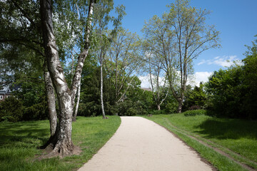 Outdoor sunny diminishing perspective view on small narrow path between tranquil and shady atmosphere of tree, bush, shrub and grass in the park.