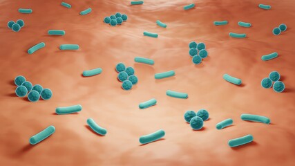 Skin microbiome, Bacteria on the skin close-up