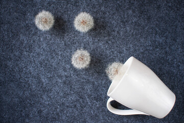 abstract background, white mug and flying dandelions on a gray background