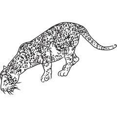 Hand Sketched, Hand Drawn Jaguar Vector