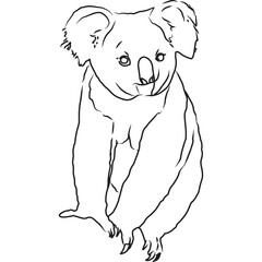 Hand Sketched, Hand Drawn Koala Vector