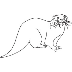Hand Sketched, Hand Drawn Otter Vector