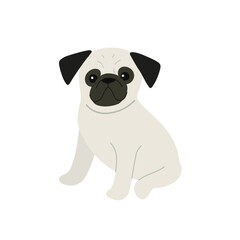 Obraz premium Pug dog. Cute dog character. Vector illustration in cartoon style for poster, postcard.