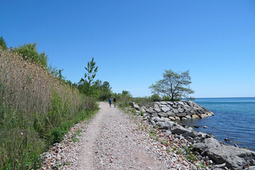 Fototapeta na wymiar Waterfront nature trail beside Lake Ontario