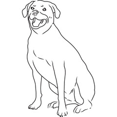Rottweiler Dog, Hand Sketched Vector Drawing