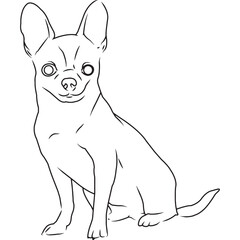 Chihuahua Dog, Hand Sketched Vector Drawing