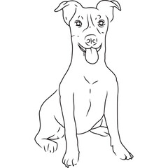 Jack Russel Terrier Dog, Hand Sketched Vector Drawing