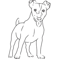 Jack Russel Terrier Dog, Hand Sketched Vector Drawing