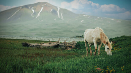 White Horse... Boat... Lake... Mountain...