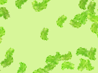 lettuce leaves on a pastel green background. levitation from green lettuce leaves.