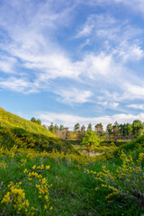 Fototapeta na wymiar Green slopes in spring near Vasylkiv, Ukraine