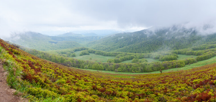 Rainy weather in Bieszady, hiking trail around the top of Tarnica, Bieszczady Mountains