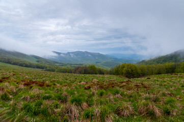 Fototapeta na wymiar Rainy weather in Bieszady, hiking trail around the top of Tarnica, Bieszczady Mountains