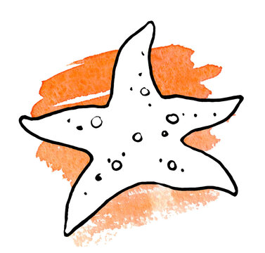 Line art Drawing Sea Star (Starfish). Black line with Orange Watercolor Spot on White Background. Hand Drawn Sketch Illustration