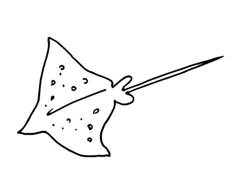 Hand Drawn Numb-fish. Stingray isolated on the white background.