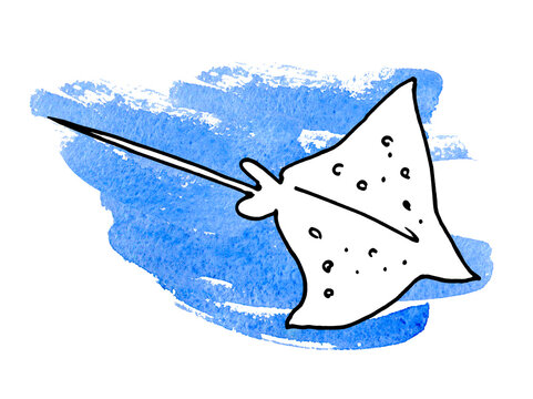 Hand Drawn Numb-fish. Stingray isolated on the white background.