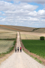 Three pilgrims walking on the Santiago Way, in Spain. Wearing mountain clothes, backpacks, with the typical Santiago shells and canes. Beautiful landscape around. La Rioja.