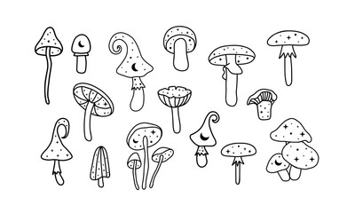 Celestial and mystical mushroom illustration. Hand drawn vector design element. Mushroom with moon and stars