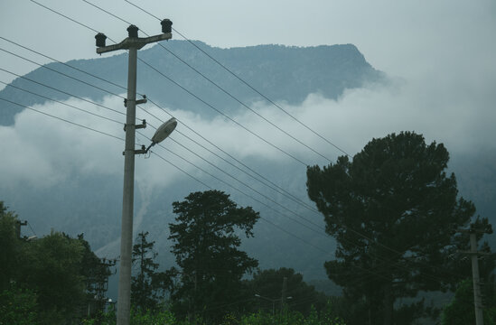 High mountains and green pine forest in the afternoon in summer