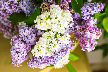 Lilac multycolored flower branches close-up on wooden table blurred background. Close up. Selective soft focus. Shallow depth of field. Text copy space.