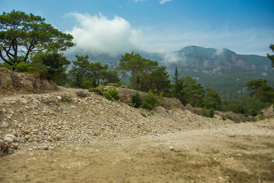 High mountains and green pine forest in the afternoon in summer