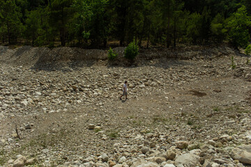 High mountains and green pine forest in the afternoon in summer