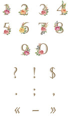 Set of numbers Floral and plant Flowers Roses Leaves Branches Buds Wedding Decoration watercolor elements