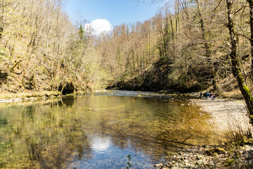 Wonderful green colour of mountain Kupa river at its spring, deep in the canyon of Risnjak national park at the start of spring season
