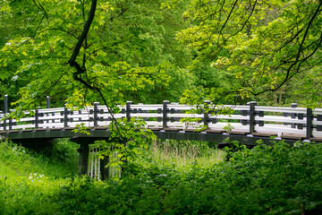 Spring landscape, Wooden bridge crossing canal with selective focus, Nature path with young green leaves, Amsterdamse Bos (Forest) Park in the municipalities of Amstelveen and Amsterdam, Netherlands.